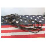 Leather Horse Bridle