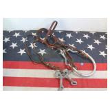 Headstall and Bridle Setup