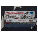 Ammo - 300 Balckout - 20 Rounds