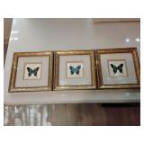 Framed butterfly prints (3)