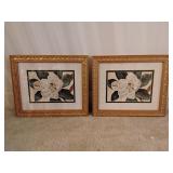 Framed magnolia blossom prints (2)