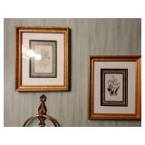 Framed botanical prints (2)