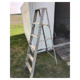 Metal 6' Ladder