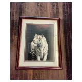 Framed & mat Bengal white tiger print