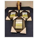 Photo frame lot