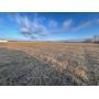 Ralls County Real Estate Auction-Robert & Larissa Horner
