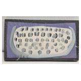 Original Mose T White Watermelon Painting on Wood