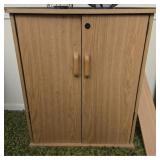 Faux Wood Storage Cabinet