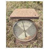 Vintage American family scale