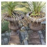 Pair of Planters with Plants