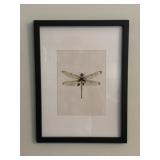 Dragon Fly Artwork Framed Print