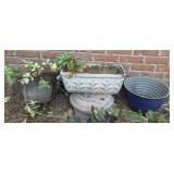 Miscellaneous Planters
