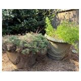 Miscellaneous Outdoor Planters with Plants