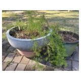 Miscellaneous Planters