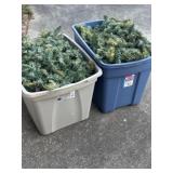 Two Totes of Garland