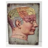 Metal Brain Anatomy Decorative Sign