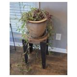 Ceramic Flower Pot with Purple Heart Plant