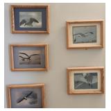 Estate lot of framed bird pictures