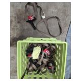 Estate lot of tree climbing steps