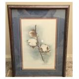 Bill Brown Cotton II Watercolor Painting