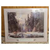Framed print of a forest