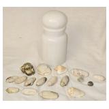 Milk Glass Decanter with Lid & Misc Sea Shells