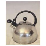Stainless Tea Kettle