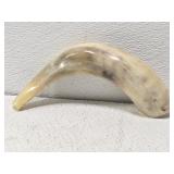 Animal Horn