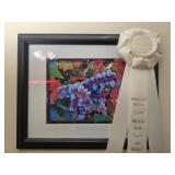Honorable mention awarded framed photograph