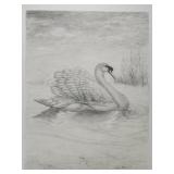 Pencil sketch of a swan signed
