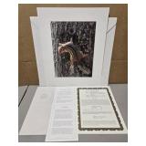 Signed 'Narrow Escape- Chipmunk' by Carl Brenders