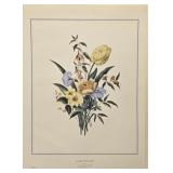 Les Fleurs Provencal II Print by J L Prevost