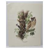 Don Whitlatch "Long-eared Owl" print ***