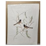 Signed "Baltimore Orioles" by Moran 43/300