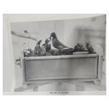 Early Bird Gets the worm By Gaint Photos of R