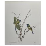 Blue Throated Barbeis by Moral Morson