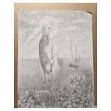 Pencil drawing of a bird by Laura Robinson