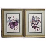 Pair of Jo Huggins Red Cherry & Plum Prints