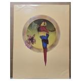 Parrot print