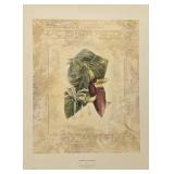 Caribbean Textures I Print by Susan Davies