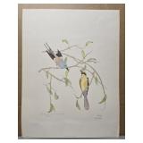 Signed "Swallow-Tailed Indian Roller" by Moran