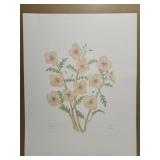 Himalayan Poppies by Moral Morson