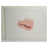 Lot of 22 Laura Robinson Werner Shell Prints