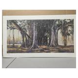 Signed Tegani print 50/500