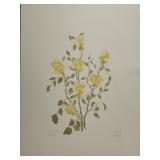 Signed & numbered Yellow Rose Moral Morson