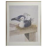 Sea Gulls By Robert White Print Signed