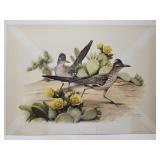Roger Tory Peterson "Roadrunner" print **