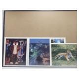 4 Auburn football photos