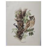 Don Whitlatch "Long-eared Owl" print ***