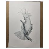 Signed Josephine Anne Smith print